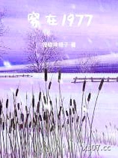 穿在1977小说封面-狸猫换银子-都市