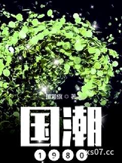 国潮1980小说封面-镶黄旗-都市