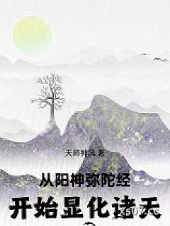 从阳神弥陀经开始显化诸天
