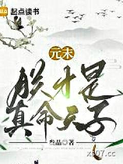 元末：朕才是真命天子小说封面-叁瞐-都市