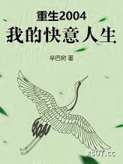 重生2004，我的快意人生小说封面-辛巴树-都市