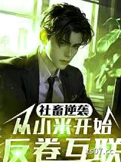 离职小米后，我成了友商公敌小说封面-挨踢的老臣-都市
