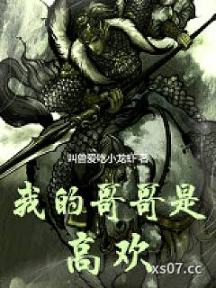 我的哥哥是高欢