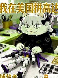 我在美国拼高达