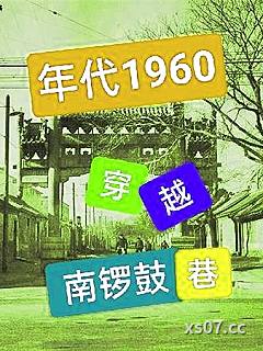 年代1960：穿越南锣鼓巷 作者：就是闲的 分类：小说