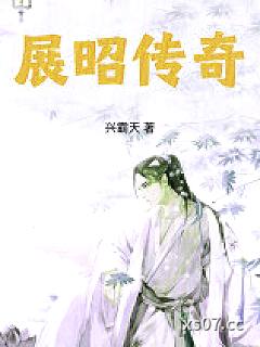 大宋神探录：展昭传奇