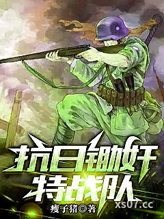 抗日锄奸特战队小说封面-瘦子猪-都市
