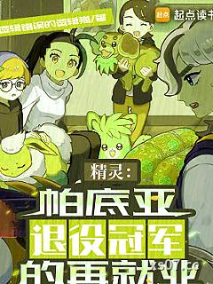 精灵：帕底亚退役冠军的再就业小说封面-逻辑错误的逻辑猫-奇幻