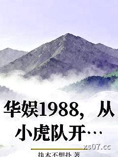 华娱1988，从小虎队开始小说封面-执木不想扑-都市