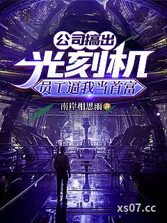 公司搞出光刻机，员工逼我当首富 作者：南岸相思雨 分类：小说
