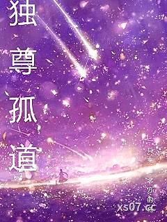独尊孤道小说封面-一只来自北方的猫-都市