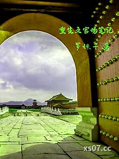 重生之官场笔记 作者：罗妹子