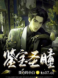 鉴宝圣瞳 作者：费力的小白 分类：小说