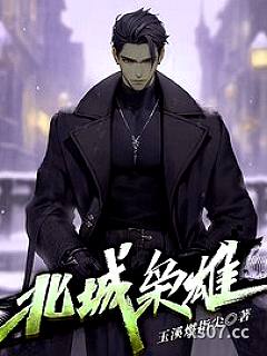 北城枭雄 作者:玉溪燃指尖 分类:小说