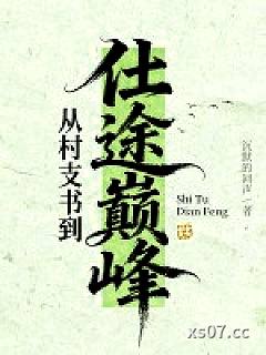 从村支书到仕途巅峰小说封面-沉默的回声-都市