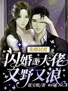 先婚试爱：闪婚后大佬又野又浪 作者：花宝叽 分类：小说