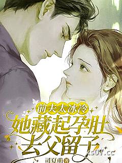 前夫太冰冷，她藏起孕肚去父留子 作者：司夏萌 分类：小说