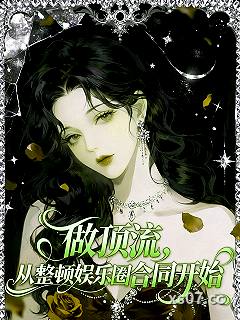 做顶流，从整顿娱乐圈合同开始 作者：寒夜中的鸢鸟