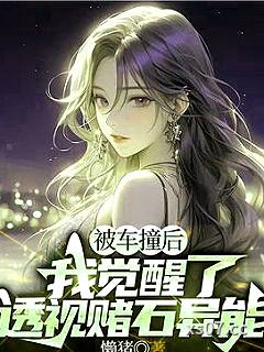 被车撞后，我觉醒了透视赌石异能小说封面-懒猪-都市