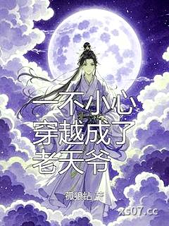 一不小心穿越成了老天爷小说封面-孤狼钻-都市