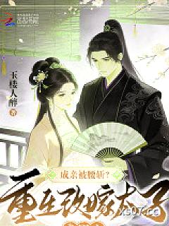 成亲被腰斩？重生改嫁太子成团宠