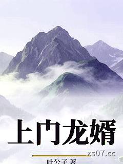 上门龙婿 作者：叶公子