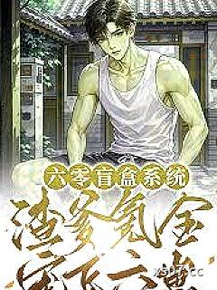 六零盲盒系统：渣爹氪金宠飞六崽小说封面-茶梨七-都市