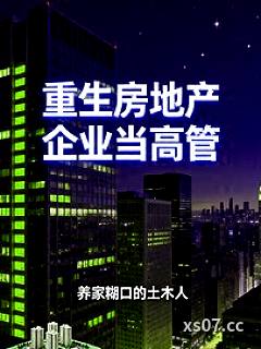 重生房地产企业当高管小说封面-养家糊口的土木人-都市