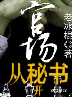 官场从秘书开始小说封面-老冰棍-都市