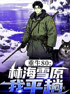 重生80：林海雪原我平趟 作者：大猪蹄子爱吸烟 分类：小说