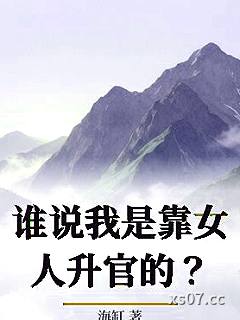 谁说我是靠女人升官的？小说封面-海缸-武侠