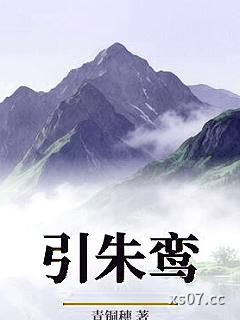 引朱鸾小说封面-青铜穗-言情