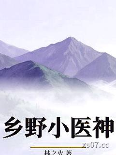 乡野小医神