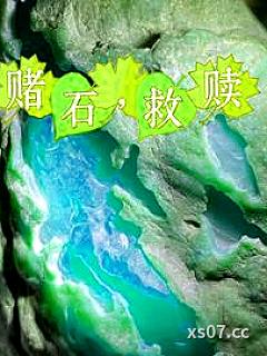 给毛料开窗，没有人比我更专业小说封面-我吃土扎粉2-都市