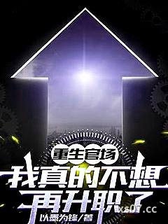 重生官场：我真的不想再升职了 作者：以墨为锋