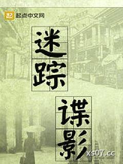 迷踪谍影