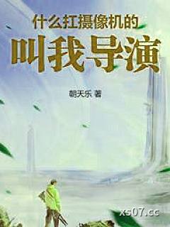 华娱2001：叫我导演！小说封面-朝天乐-都市