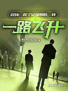 官场：救了女领导后，我一路飞升 作者：叁叁伍伍 分类：小说