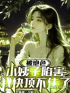 被绝色小姨子陷害，我快顶不住了小说封面-乘风三尺浪-都市
