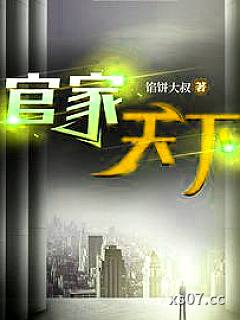 官家天下 作者:馅饼大叔 分类:小说