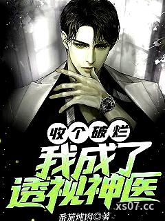 收个破烂，我成了透视神医 作者：番茄炖肉 分类：小说