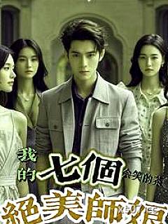 我的七个绝美师娘小说封面-会笑的茶-都市