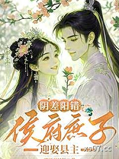 阴差阳错，侯府庶子迎娶县主小说封面-啤酒蛋炒饭-言情