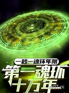 一秒一魂环年限,第一魂环十万年 作者:做贼肾虚 分类:小说