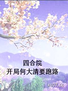 四合院：开局何大清要跑路 作者：躺平的小胖子 分类：小说