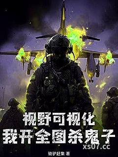 视野可视化，我开全图杀鬼子