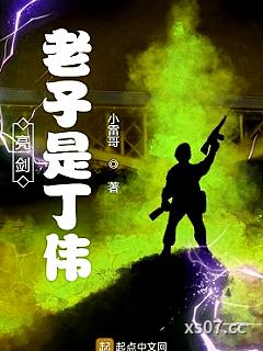 亮剑：老子是丁伟