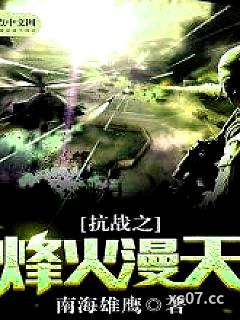 抗战之烽火漫天小说封面-南海雄鹰-军事