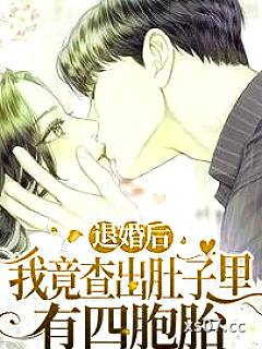 退婚后，我竟查出肚子里有四胞胎 作者：稻花香香6 分类：小说