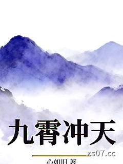 九霄冲天 作者:心如旧 分类:小说